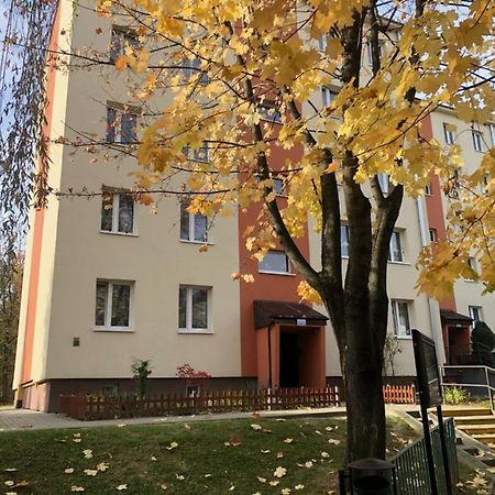 Apartament Krakowska Бохня Екстер'єр фото