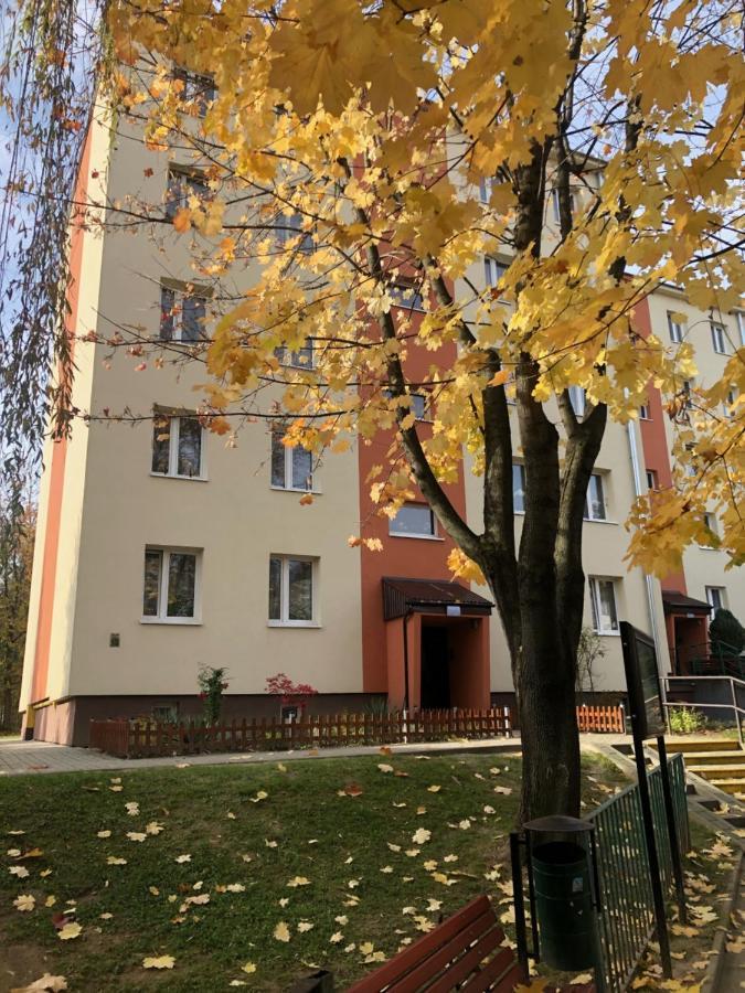 Apartament Krakowska Бохня Екстер'єр фото